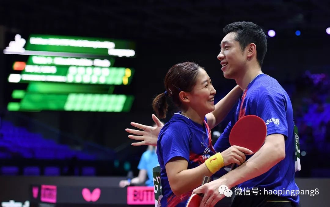 开云体育平台APP-波兰队轻取韩国队，许昕惊艳四座