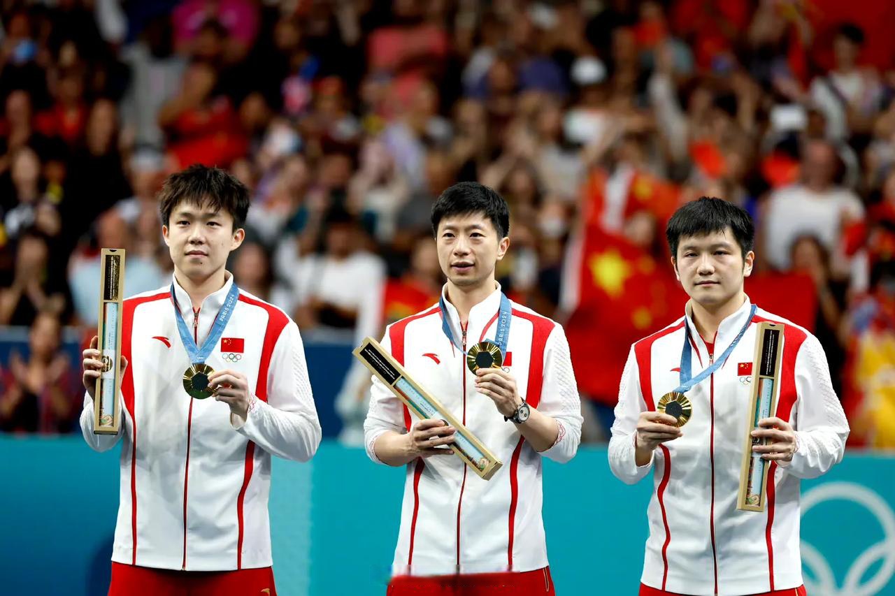 开云体育app-瑞典队翻盘奥地利队，樊振东扛起全队