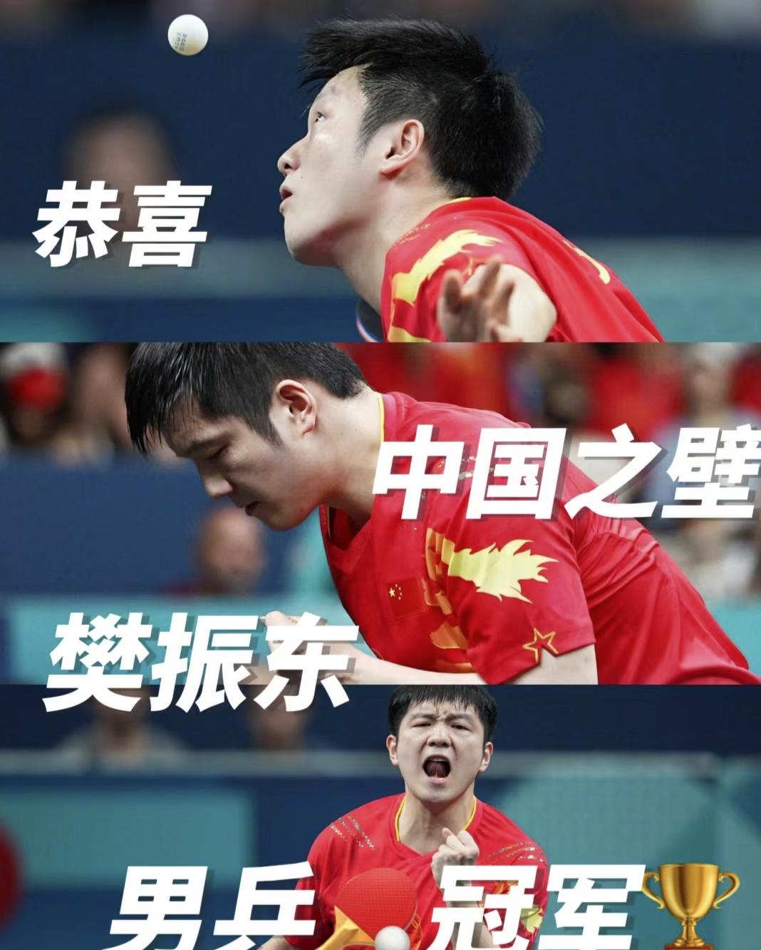 法国队险胜波兰队,樊振东点燃赛场 法国队险胜波兰队,樊振东点燃赛场