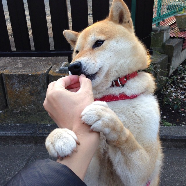 测量压力的单位，一个布伦森