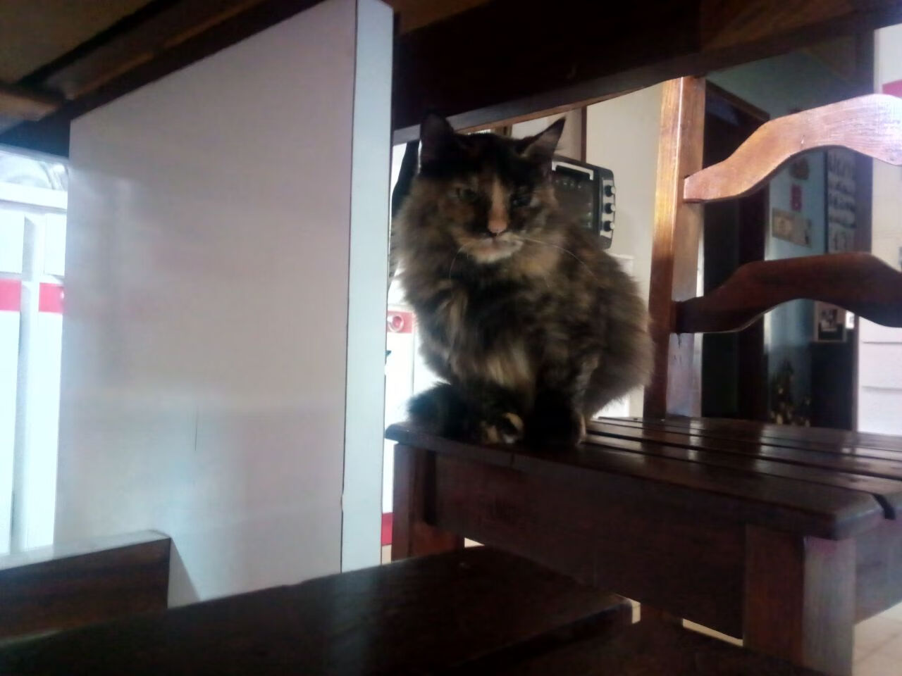 AC米兰欧战粉碎土耳其，范戴克的世界杯序曲，2026的防守艺术