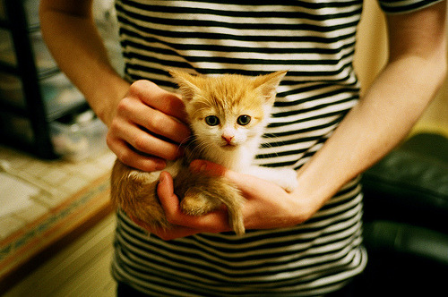 开云体育app-伯纳乌的阿根廷探戈，迪巴拉用一脚弧线改写西决命运