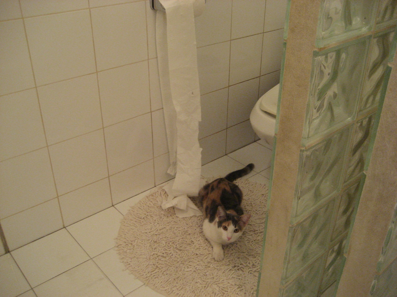 开云体育2026-东西方同日巅峰对决，当德甲争冠焦点战遇见CBA颠覆之战