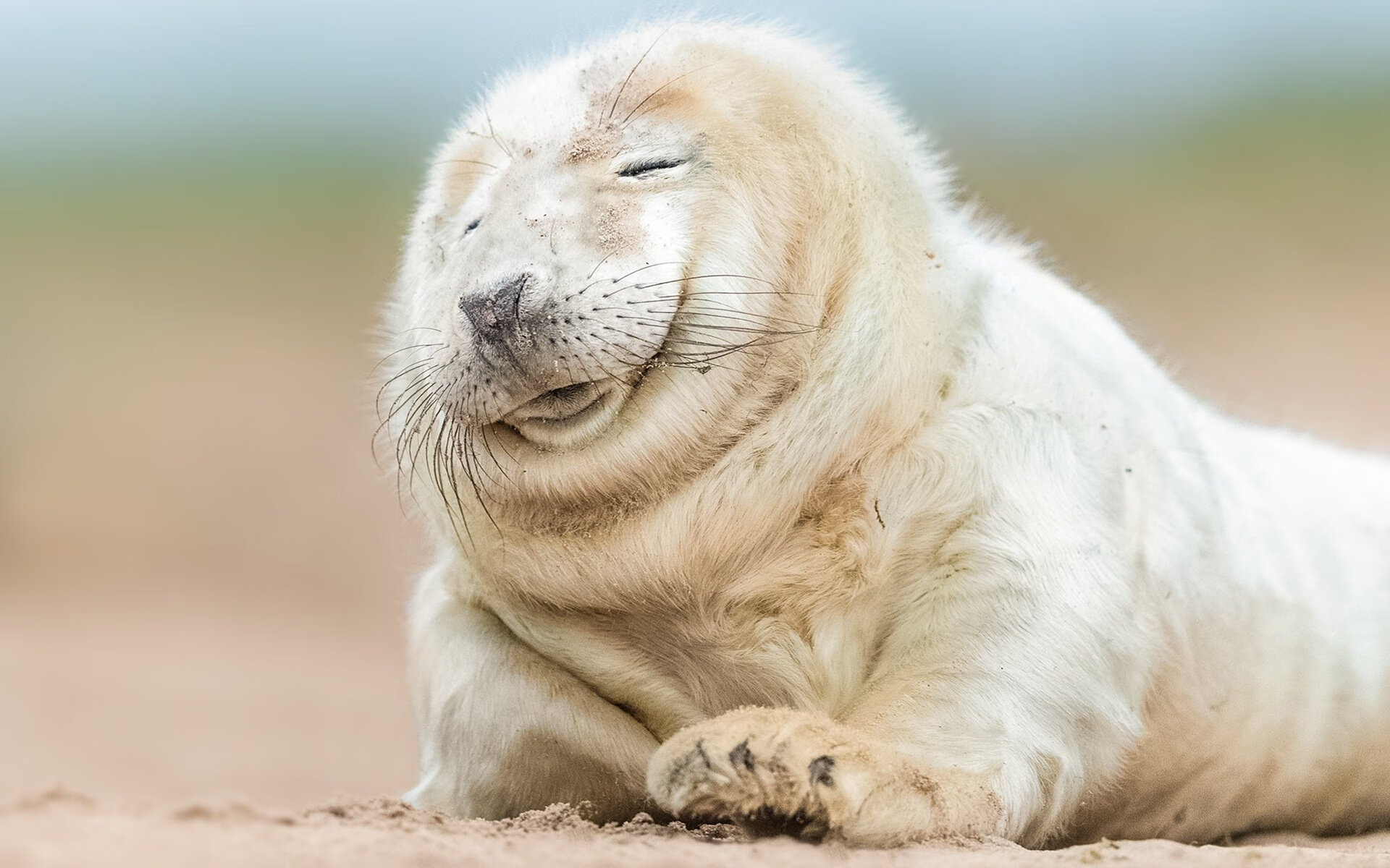 开云sport-皮克的唯一传奇，多特蒙德与利物浦对决中的制胜荣耀