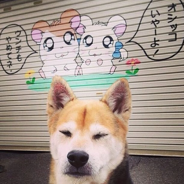 蓝色星芒下的亚洲弧线，久保建英独舞斯坦福桥