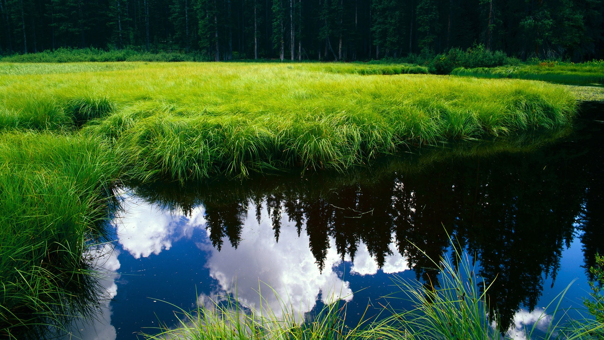 开云体育2026-华沙无声铁骑与安特卫普的叹息，当范戴克的铜墙铁壁化作波兰人穿越历史的甬道