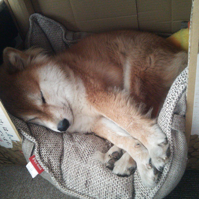 厄德高的魔法时刻，在阿根廷对摩洛哥的年度焦点战中接管比赛