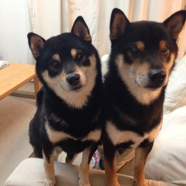 刺客与法老的较量，马丁内利以压制级表现刺穿埃及防线