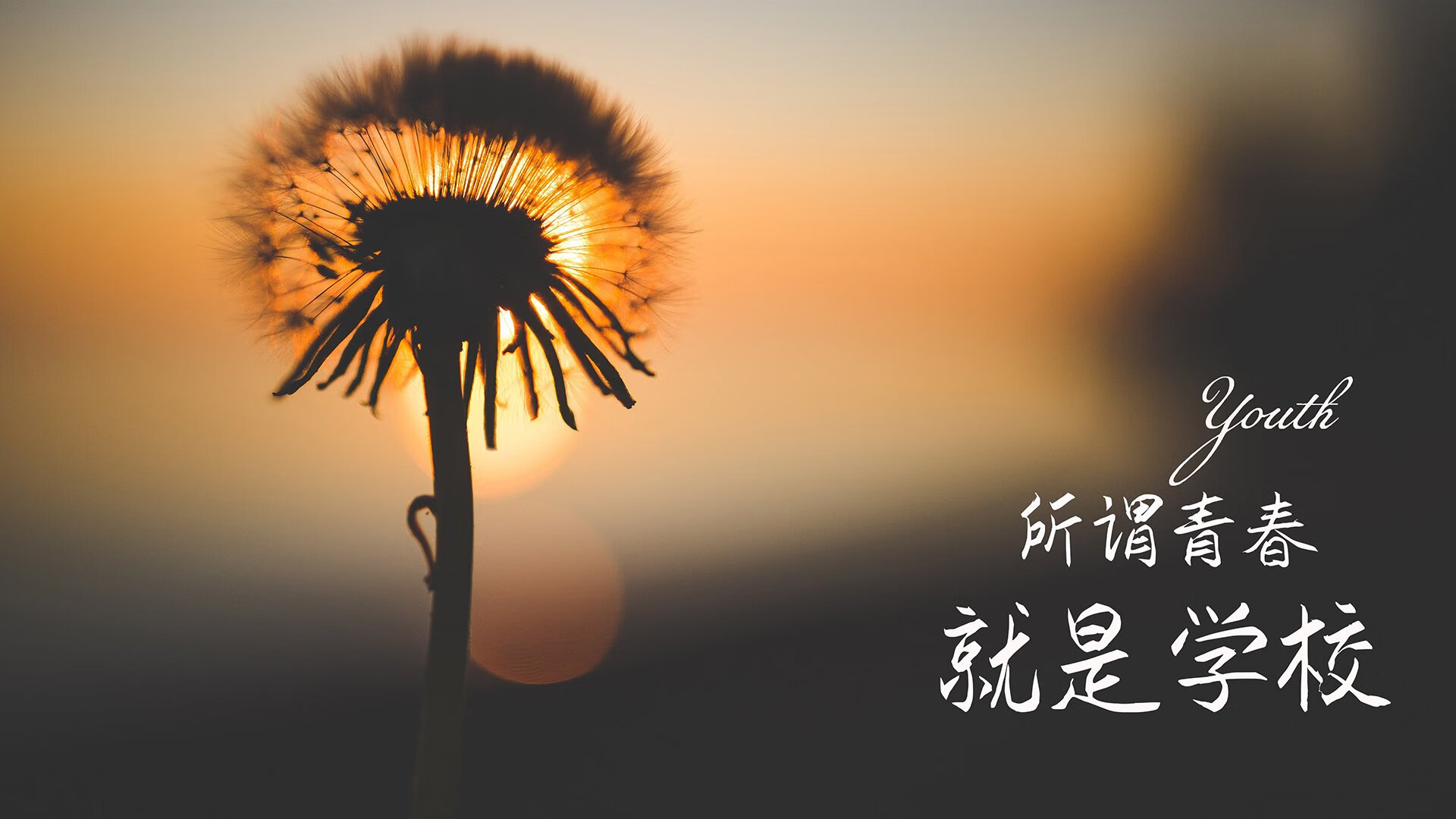 开云体育APP下载-冰火奇缘，努涅斯点燃维京战吼，冰岛在G组生死战中用进攻狂潮吞噬奥地利