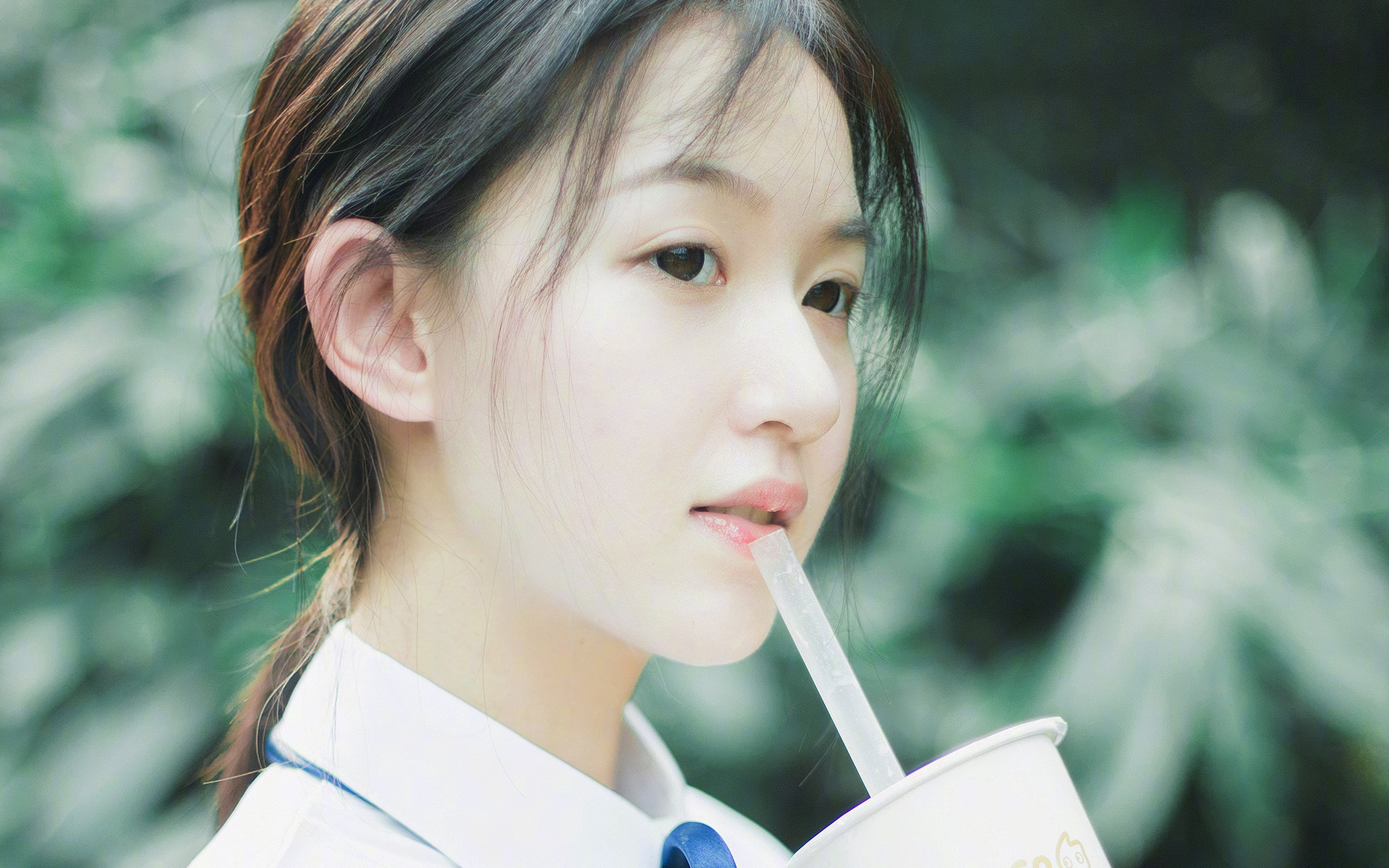 北非雄鹰折翼地中海蓝狮,格列兹曼的最后一舞,如何用大师级表演书写2026世界杯E组唯一剧本