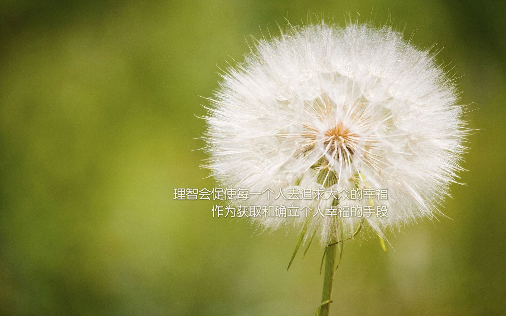 蒙得维的亚的救赎,坎塞洛的叛徒之名,与乌拉圭一秒定江山的唯一史诗